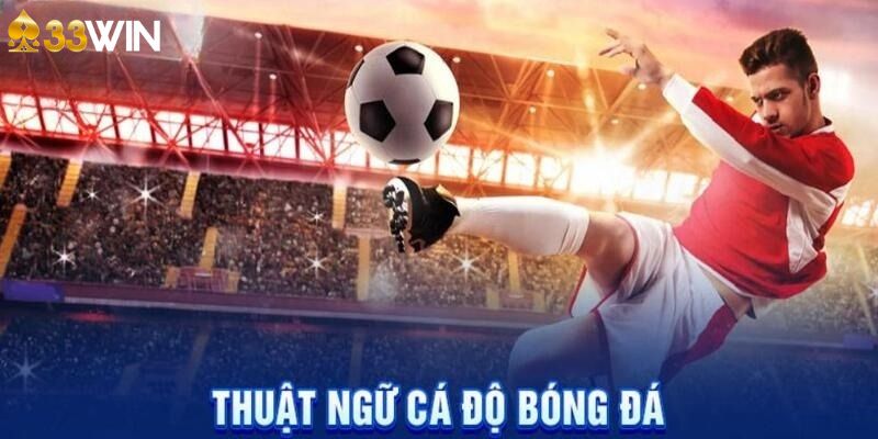 Thuật ngữ cá cược bóng đá bạn nên nắm rõ thông tin